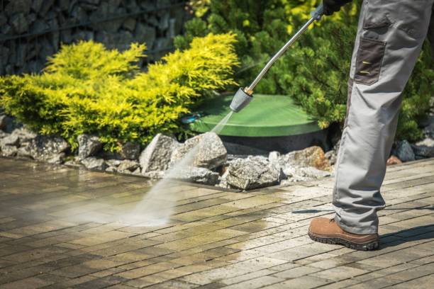 Trusted Clarendon, TX Pressure Washing Services Experts